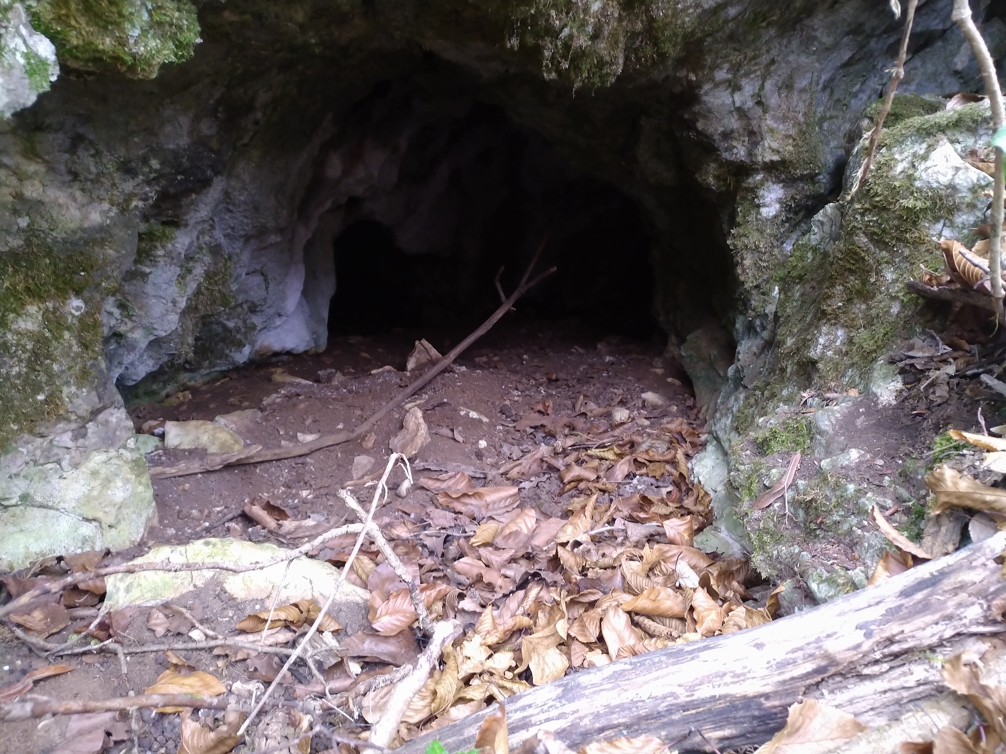 Peștera cu 4 Porți - Image 4